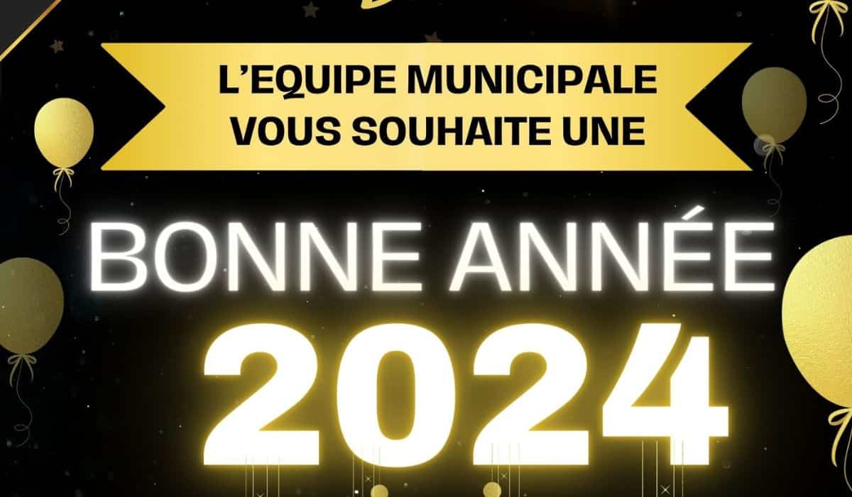 Meilleurs voeux pour cette nouvelle année 2024 - VousNousIls